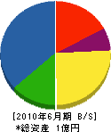 須納瀬設備工業所 貸借対照表 2010年6月期