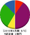 日本電話センター 貸借対照表 2010年6月期