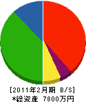藤井商店 貸借対照表 2011年2月期
