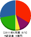 富田工業 貸借対照表 2011年6月期