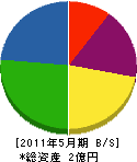 小川ボーリング建設工業 貸借対照表 2011年5月期