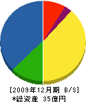 東京技研 貸借対照表 2009年12月期