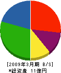 須藤電機製作所 貸借対照表 2009年3月期
