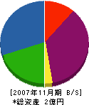 Ａ・Ｑコーポレーション 貸借対照表 2007年11月期