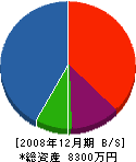 九州サッシ工業 貸借対照表 2008年12月期