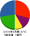 矢島設備 貸借対照表 2010年6月期