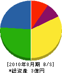 九州エルピー 貸借対照表 2010年8月期
