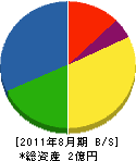 澤井デンキ 貸借対照表 2011年8月期