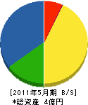 栃薮建設 貸借対照表 2011年5月期