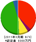 武蔵サービス 貸借対照表 2011年3月期