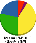 大阪川島商店 貸借対照表 2011年1月期