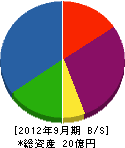 藤崎電機 貸借対照表 2012年9月期