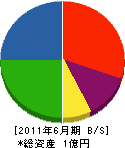 矢島設備 貸借対照表 2011年6月期