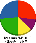 岩舘電気 貸借対照表 2010年6月期