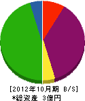 中田建設 貸借対照表 2012年10月期