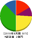 桜井建設 貸借対照表 2010年4月期