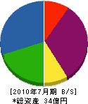 柴田興業 貸借対照表 2010年7月期