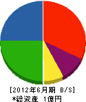 矢島設備 貸借対照表 2012年6月期
