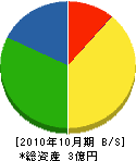小野電業社 貸借対照表 2010年10月期