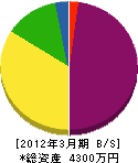 笠井建設 貸借対照表 2012年3月期