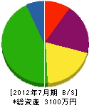 四国光楠 貸借対照表 2012年7月期