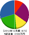 延州緑化 貸借対照表 2012年12月期