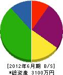 前田産業 貸借対照表 2012年6月期