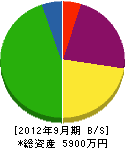 細島電業 貸借対照表 2012年9月期