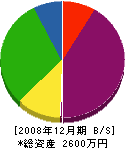 松井板金 貸借対照表 2008年12月期