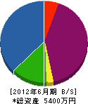 本田建材 貸借対照表 2012年6月期