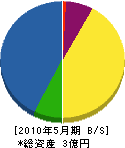 岡島建設 貸借対照表 2010年5月期