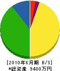 神沢建設 貸借対照表 2010年6月期