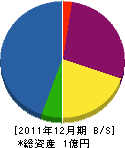 タケザワ組 貸借対照表 2011年12月期