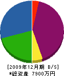 江副商店 貸借対照表 2009年12月期