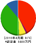 中島電気商会 貸借対照表 2010年4月期