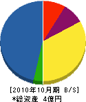 光建工 貸借対照表 2010年10月期