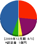 高知ダルマ電機 貸借対照表 2009年12月期