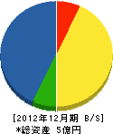 松元建設 貸借対照表 2012年12月期
