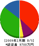 カネ電田中電工社 貸借対照表 2009年2月期