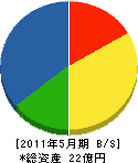 日東軽金 貸借対照表 2011年5月期