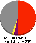 上田建築工務店 損益計算書 2012年9月期