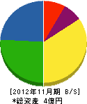 大東電気工業 貸借対照表 2012年11月期