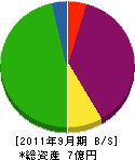 アイズ総合 貸借対照表 2011年9月期