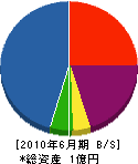 栄晃建設 貸借対照表 2010年6月期