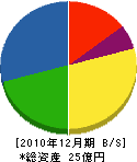 吉岡電気工業 貸借対照表 2010年12月期