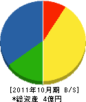 中嶋造園土木 貸借対照表 2011年10月期