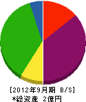川根産業 貸借対照表 2012年9月期
