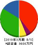 中井鉄筋建設 貸借対照表 2010年3月期