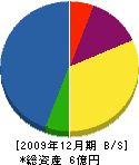 笠井工業 貸借対照表 2009年12月期