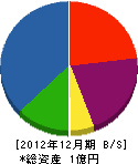石山建設 貸借対照表 2012年12月期